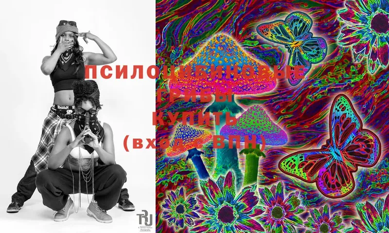 Псилоцибиновые грибы Cubensis  как найти закладки  Воркута 